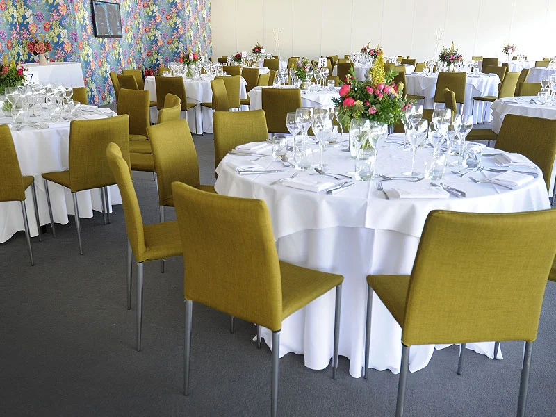 Our Services 15232B rio chair olive green 3