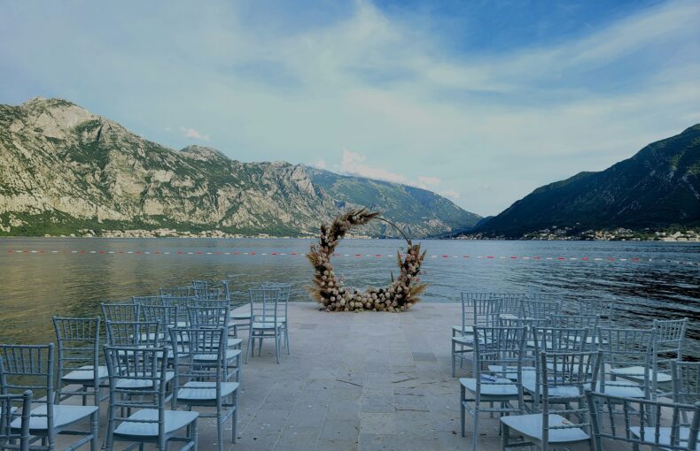 Our Services vladan raznatovic AiAq3H0xqg4 unsplash 790x510